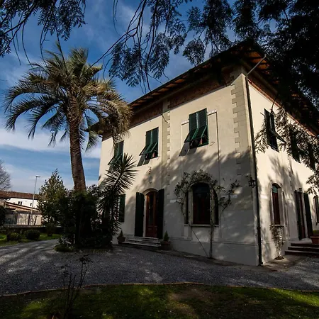 Martini's Lucca